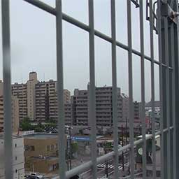 超望遠レンズでの撮影1