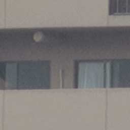 超望遠レンズでの撮影3