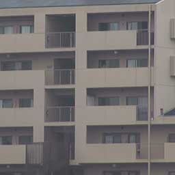 超望遠レンズでの撮影2